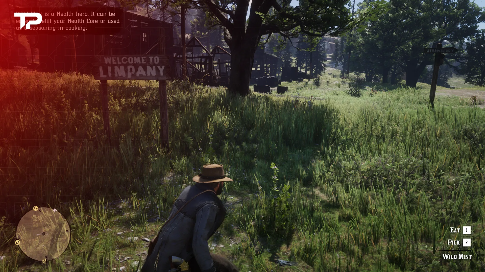 RDR2 Susan Herbs Request