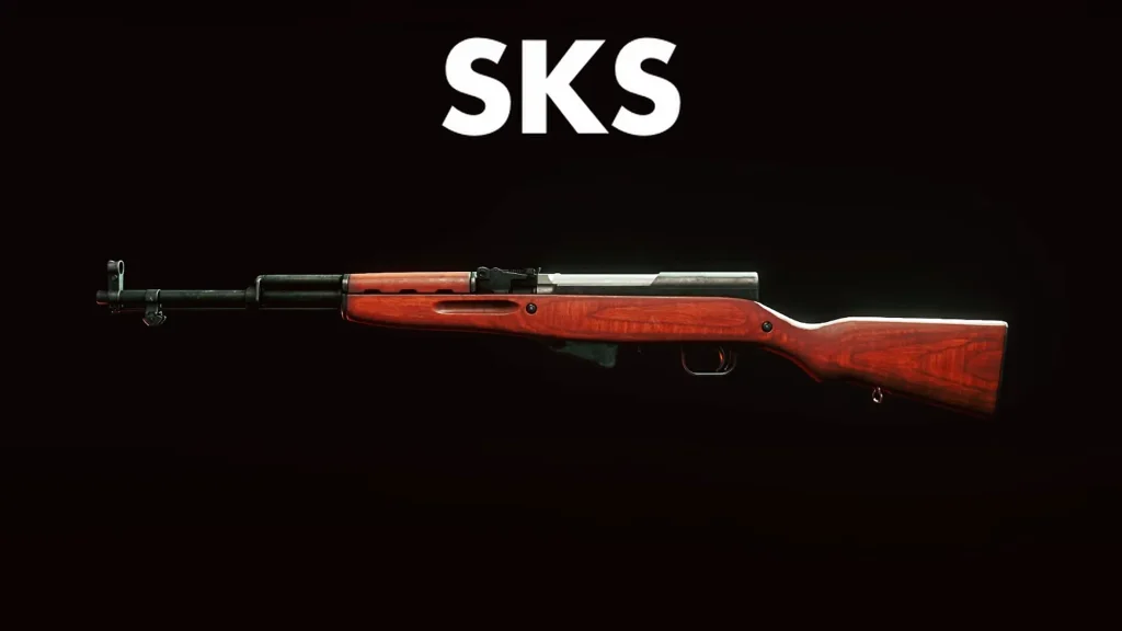 a photo of SKS rifle is on display