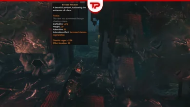 Valheim Cheated Item Why Your Items Say Cheated and How to Fix It
