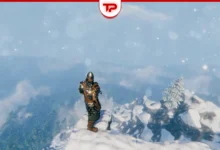 Valheim Memorial Coal