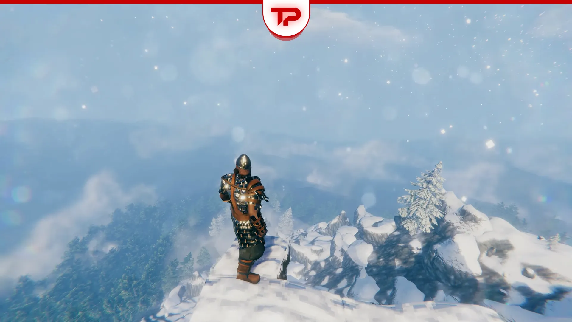 Valheim Memorial Coal