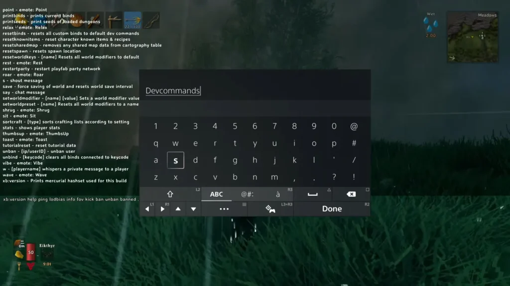 Valheim console with devcommands typed in