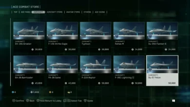 Ace Combat 8 Best Planes