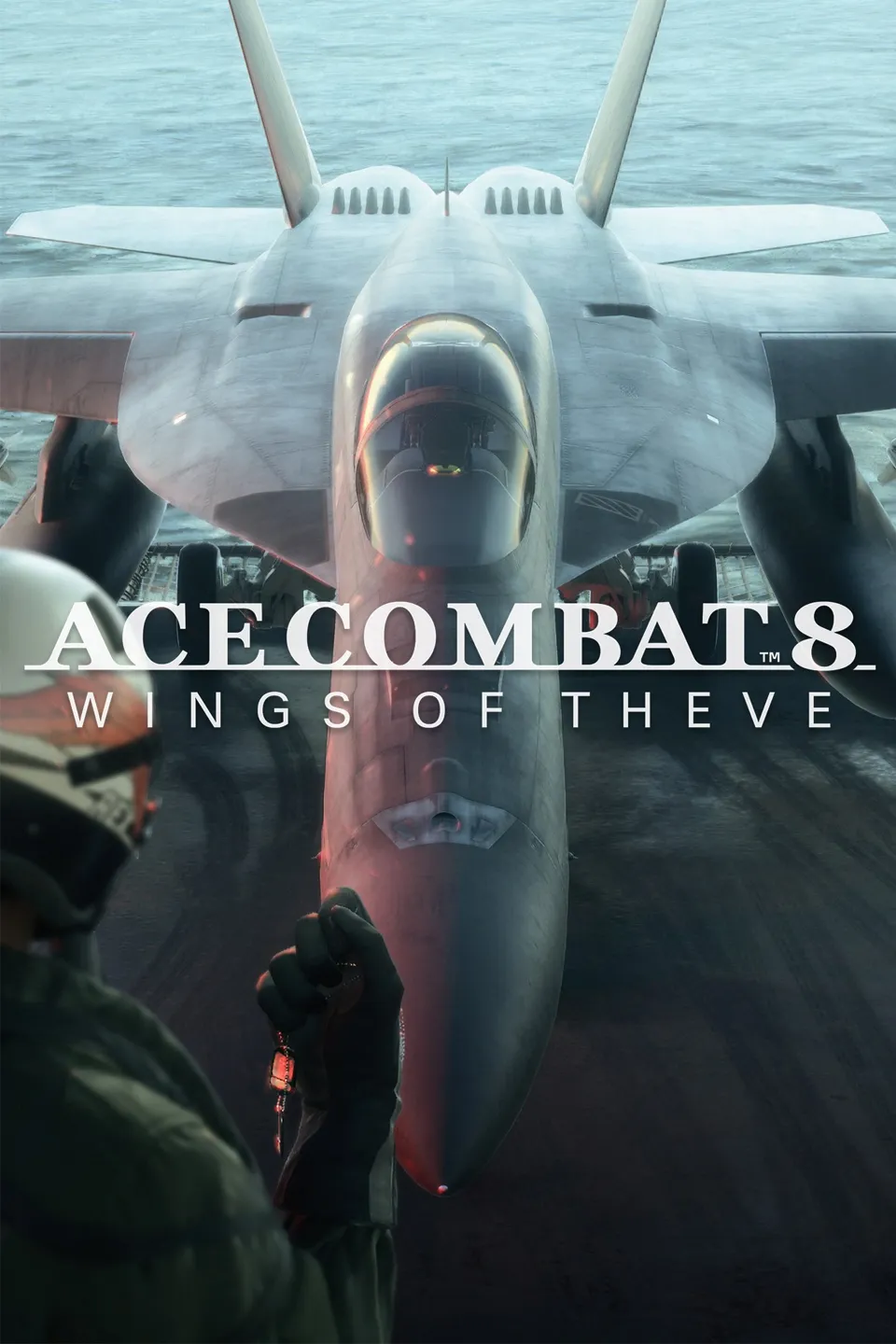 Ace Combat 8 tag cover