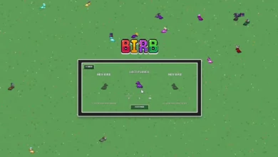 Birb Guide Evolution Requirements and Expedition Tips