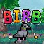 Birb cover