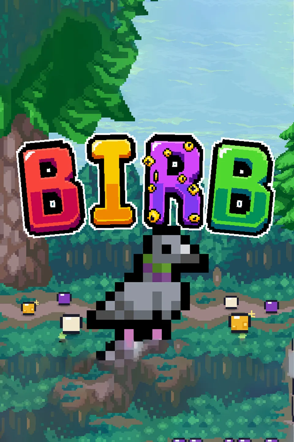 Birb cover