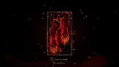 Castlevania Belmont's Curse Bernhard's Wrath gloves/gauntlets