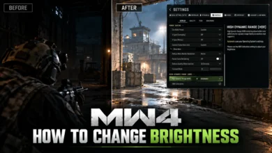 MW4 How to Change Brightness