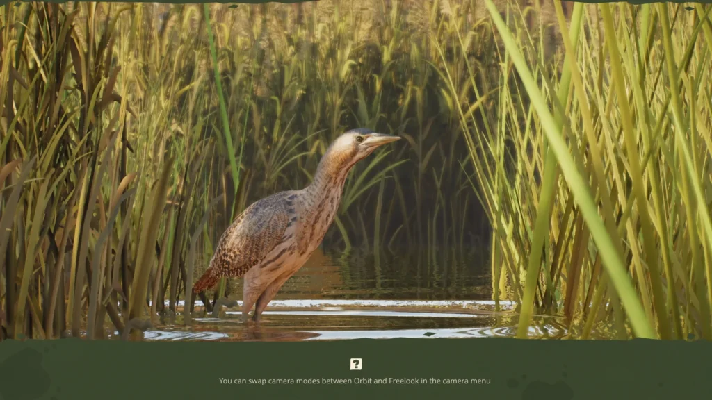 Planet Zoo 2 loading screen featuring a bird in a wetland habitat, where players may get stuck or return to the main menu due to Franchise Mode loading bugs