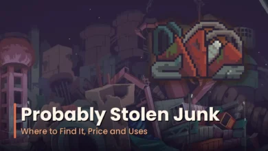 Probably Stolen Junk Where to Find It Price and Uses