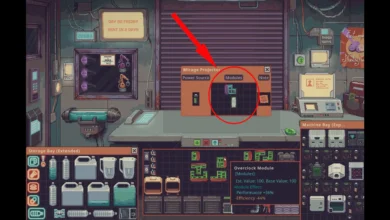 Probably Stolen Modules pointed at in the menu