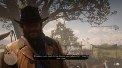 RDR2 Penny Dreadful Book Locations How to Complete Jack's Request