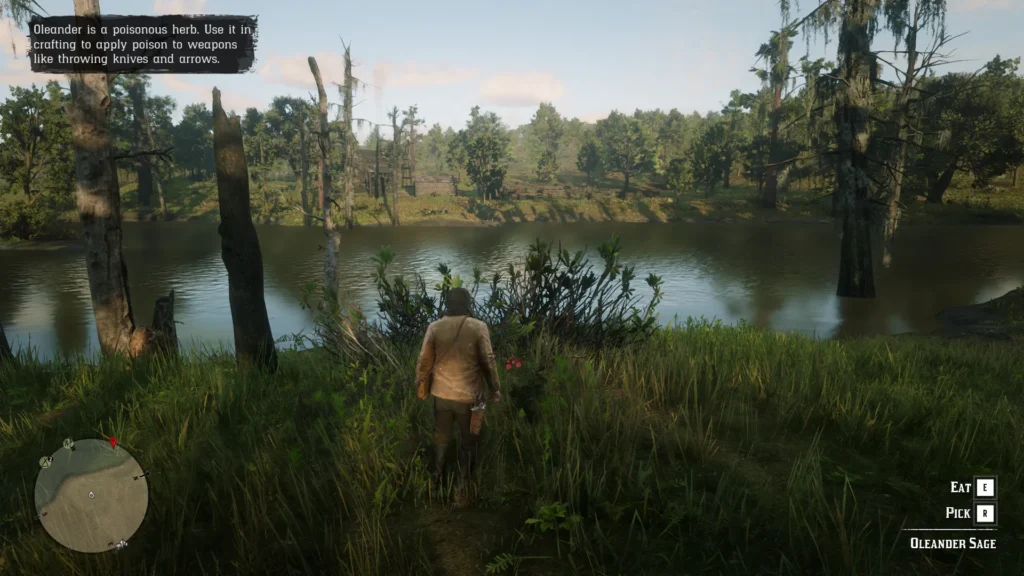 RDR2 map showing Oleander Sage location