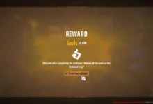 The Reward upon getting all 10 Hunter Souls from Redwood Graves