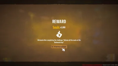 The Reward upon getting all 10 Hunter Souls from Redwood Graves