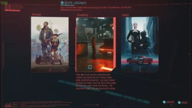 StreetKid Cyberpunk 2077 Quests & Dialogue Choices