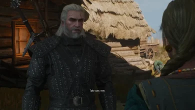 Geralt wearing the armor from the Netflix show
