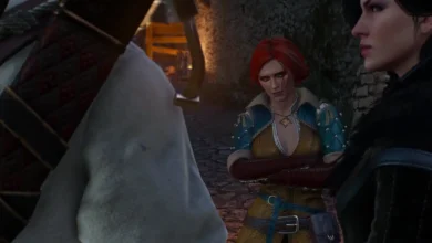 The Witcher 3 Triss and Yennefer
