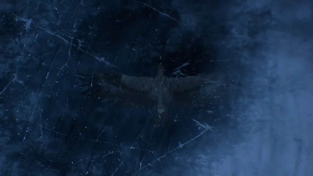 Hawk frozen in lake