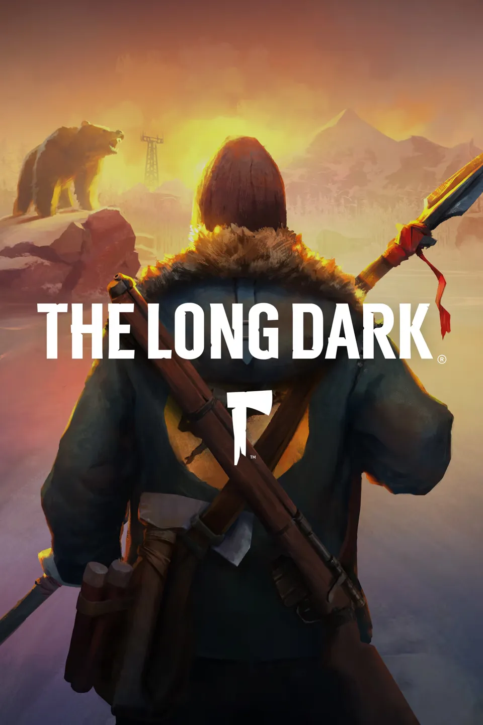 the long dark cover